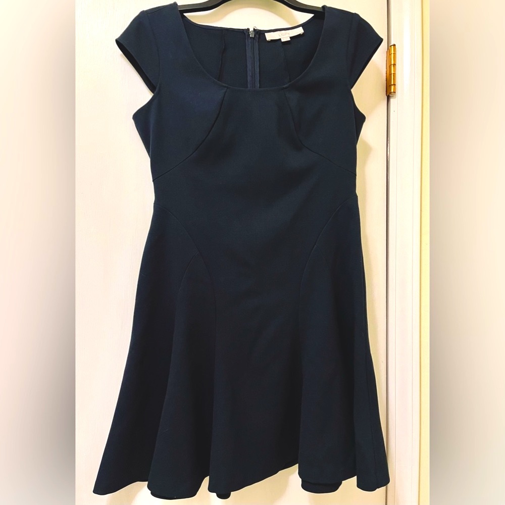 Ann Taylor Loft Fit Flare A-Line Navy Blue Dress Cap Sleeve Sz 2 Petite runs big